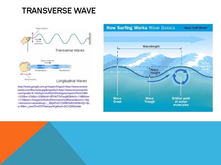 TRANSVERSE WAVE 