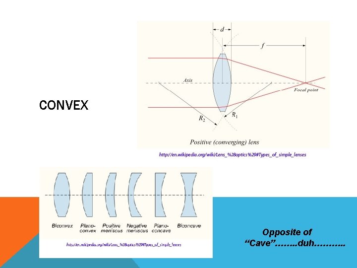 CONVEX Opposite of “Cave”……. . duh………. . 