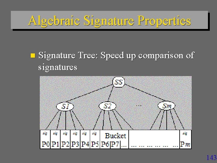 Algebraic Signature Properties n Signature Tree: Speed up comparison of signatures 143 