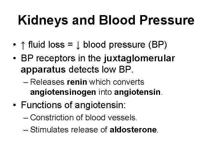 Kidneys and Blood Pressure • ↑ fluid loss = ↓ blood pressure (BP) •