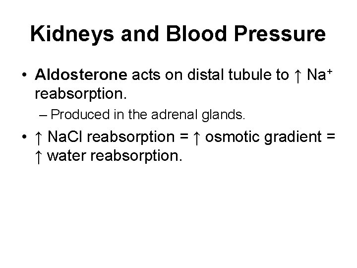 Kidneys and Blood Pressure • Aldosterone acts on distal tubule to ↑ Na+ reabsorption.
