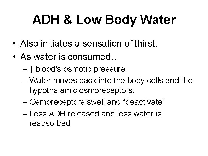 ADH & Low Body Water • Also initiates a sensation of thirst. • As