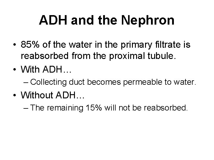 ADH and the Nephron • 85% of the water in the primary filtrate is