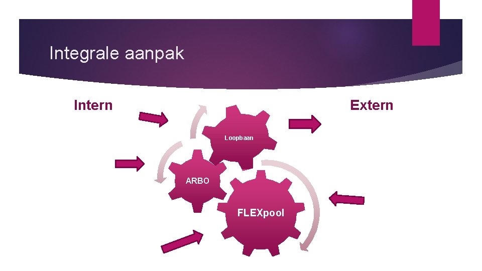 Integrale aanpak Intern Extern Loopbaan ARBO FLEXpool 