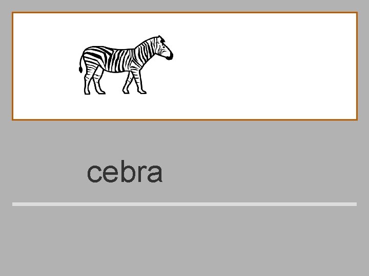 cebra 