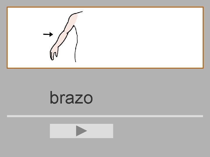 brazo 