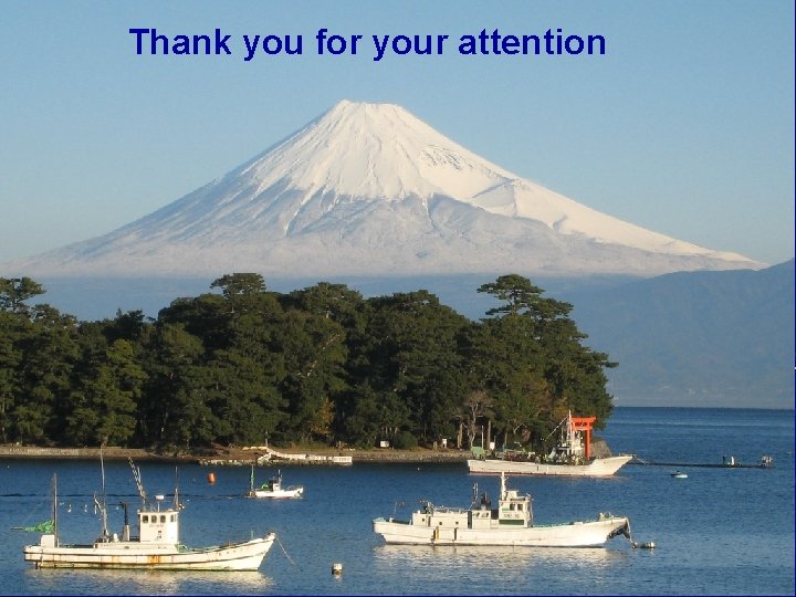 Thank you for your attention 