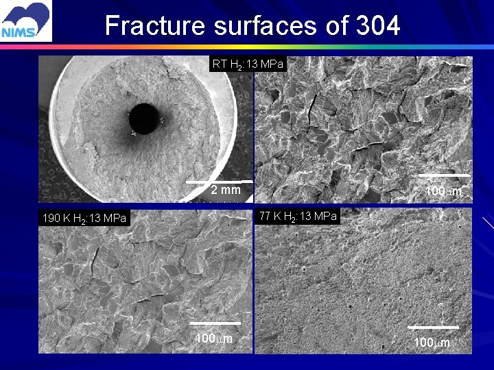 Fracture surfaces of 304 RT H 2: 13 MPa 2 mm 100 mm 77