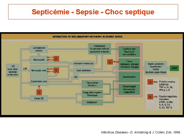 Septicémie - Sepsie - Choc septique Infectious Diseases - D. Armstrong & J. Cohen,