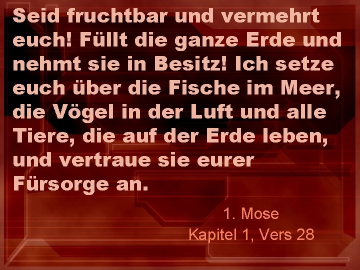 Seid fruchtbar und vermehrt euch! Füllt die ganze Erde und nehmt sie in Besitz!