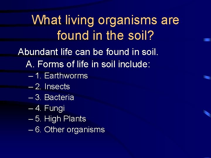 What living organisms are found in the soil? Abundant life can be found in