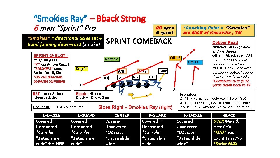 “Smokies Ray” – Bback Strong 6 man “Sprint” Pro “Smokies” = directional Sixes set
