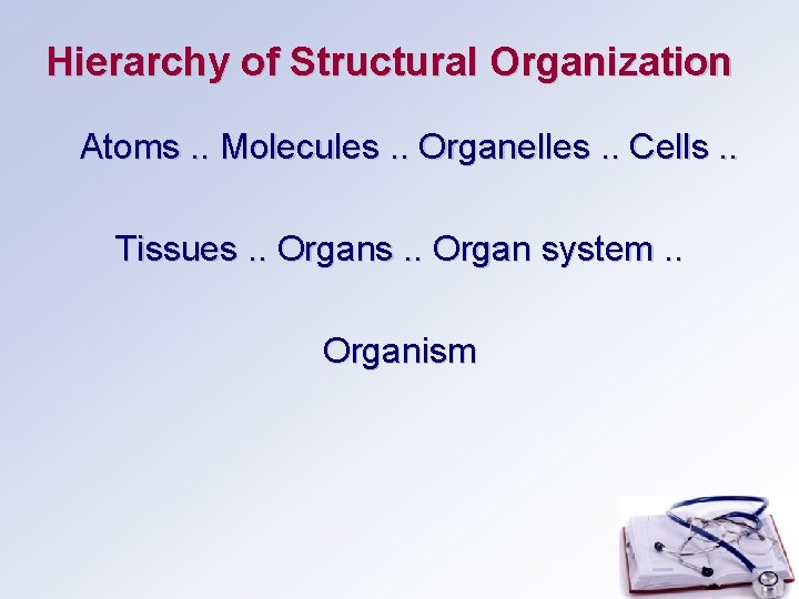 Hierarchy of Structural Organization Atoms. . Molecules. . Organelles. . Cells. . Tissues. .