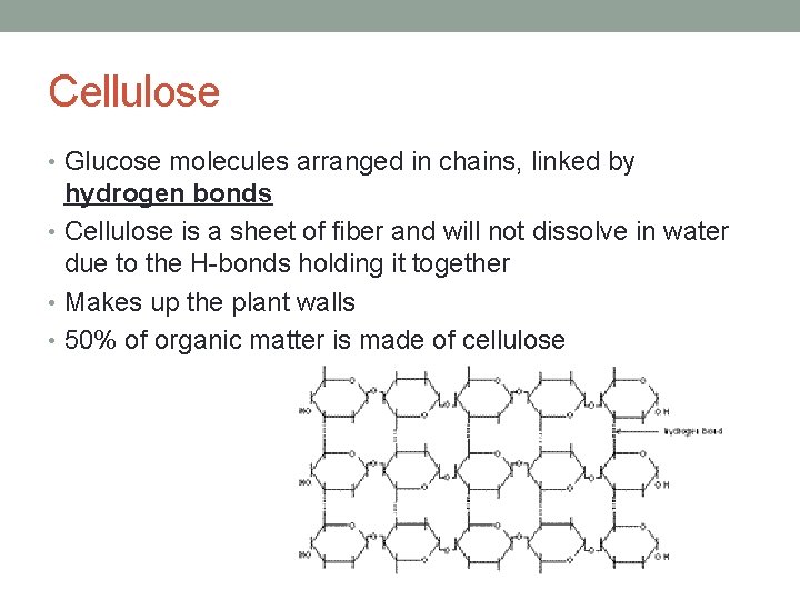 Cellulose • Glucose molecules arranged in chains, linked by hydrogen bonds • Cellulose is Cellulose • Glucose molecules arranged in chains, linked by hydrogen bonds • Cellulose is