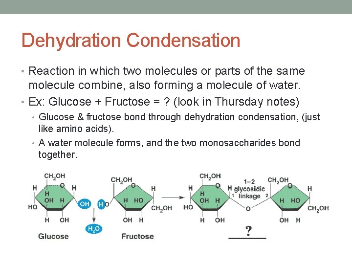 Dehydration Condensation • Reaction in which two molecules or parts of the same molecule Dehydration Condensation • Reaction in which two molecules or parts of the same molecule