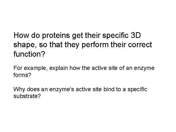 How do proteins get their specific 3 D shape, so that they perform their