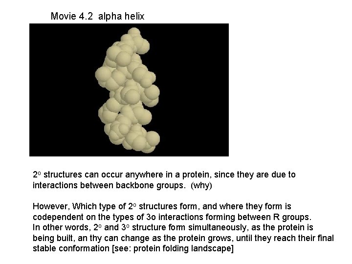 Movie 4. 2 alpha helix 2 o structures can occur anywhere in a protein,