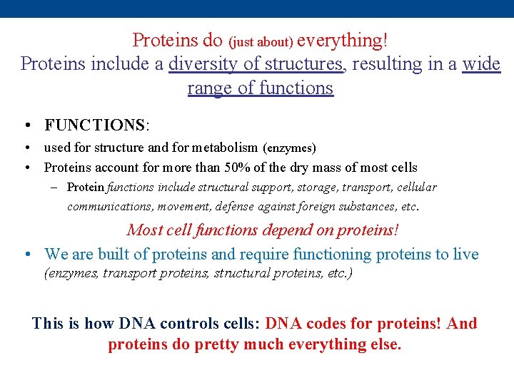 Proteins do (just about) everything! Proteins include a diversity of structures, resulting in a