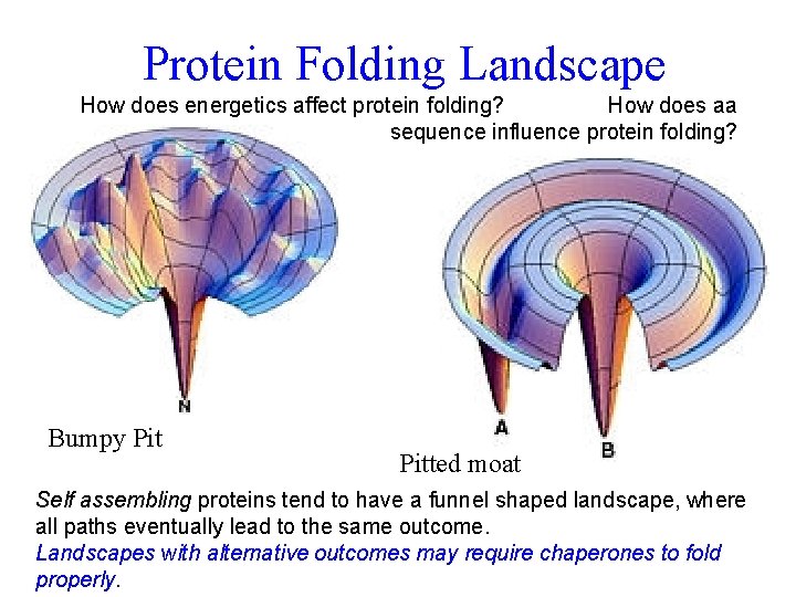 Protein Folding Landscape How does energetics affect protein folding? How does aa sequence influence