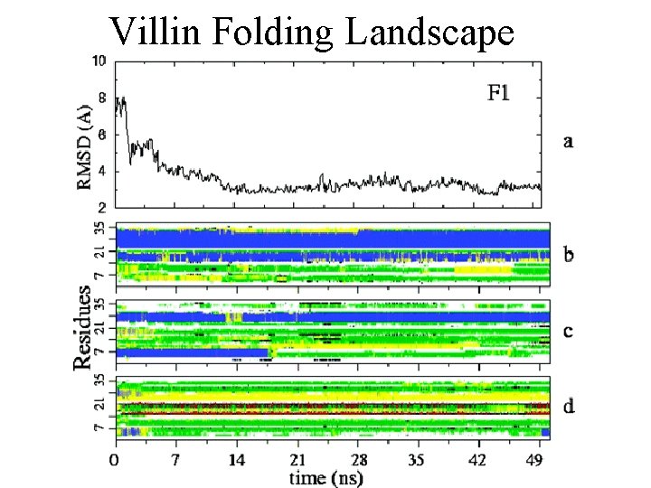 Villin Folding Landscape 