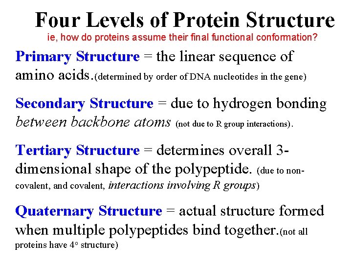 Four Levels of Protein Structure ie, how do proteins assume their final functional conformation?