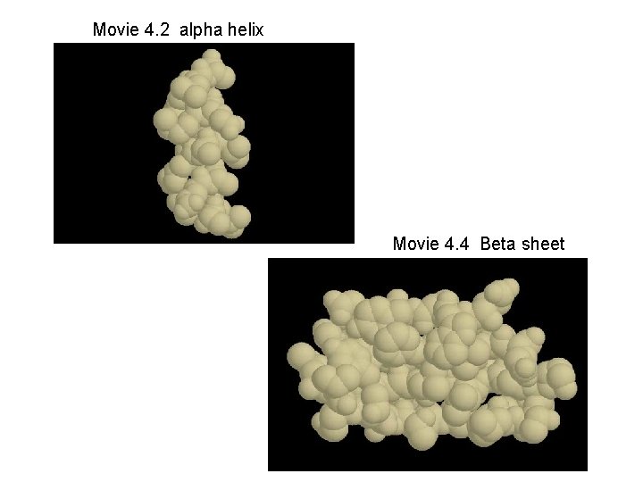 Movie 4. 2 alpha helix Movie 4. 4 Beta sheet 