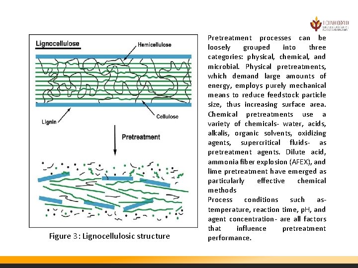 Figure 3: Lignocellulosic structure Pretreatment processes can be loosely grouped into three categories: physical,