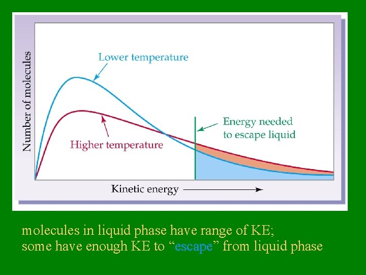 molecules in liquid phase have range of KE; some have enough KE to “escape”