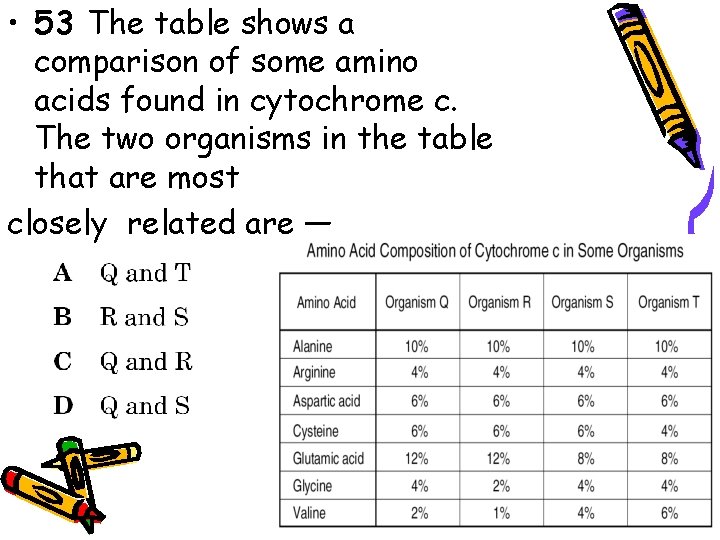  • 53 The table shows a comparison of some amino acids found in