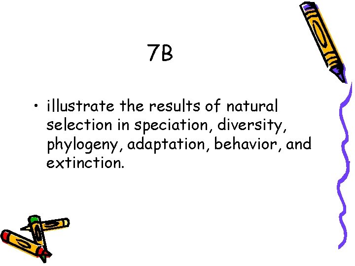 7 B • illustrate the results of natural selection in speciation, diversity, phylogeny, adaptation,