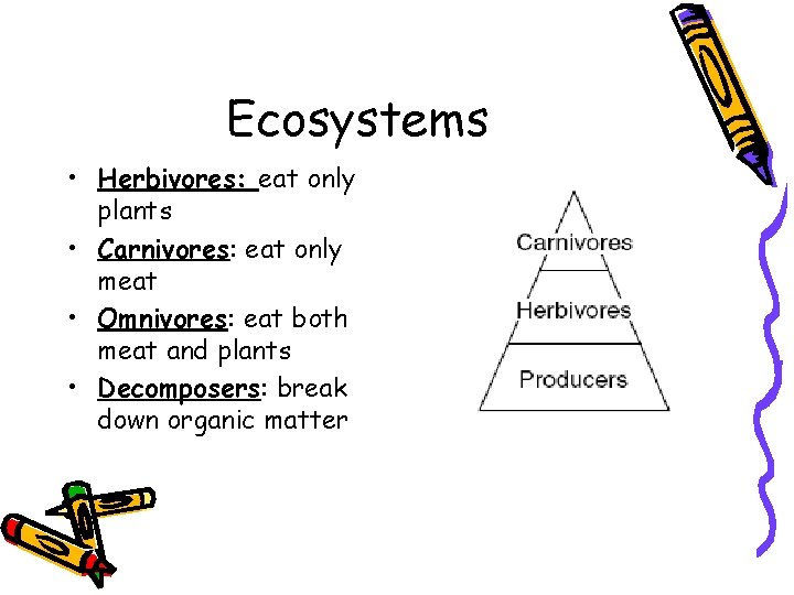 Ecosystems • Herbivores: eat only plants • Carnivores: eat only meat • Omnivores: eat