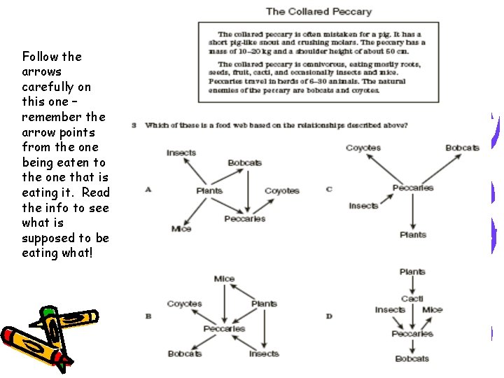 Follow the arrows carefully on this one – remember the arrow points from the