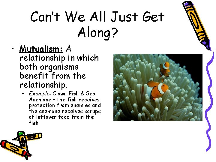 Can’t We All Just Get Along? • Mutualism: A relationship in which both organisms