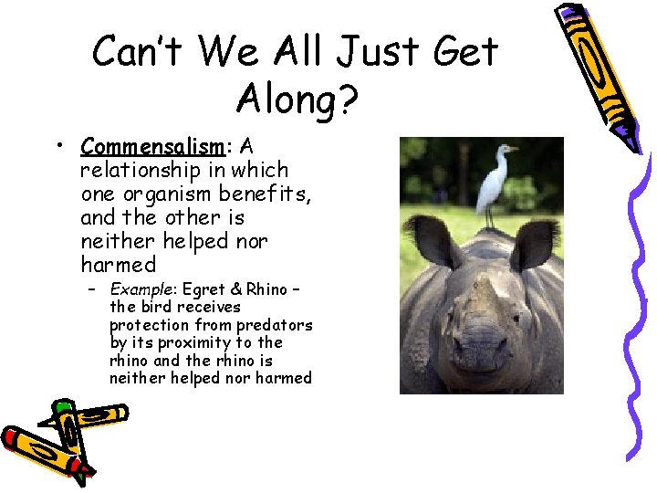 Can’t We All Just Get Along? • Commensalism: A relationship in which one organism