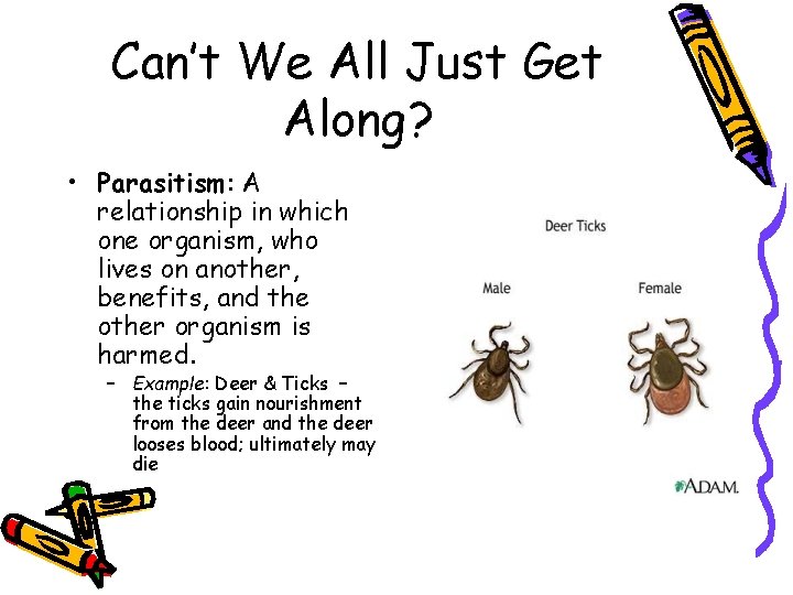 Can’t We All Just Get Along? • Parasitism: A relationship in which one organism,