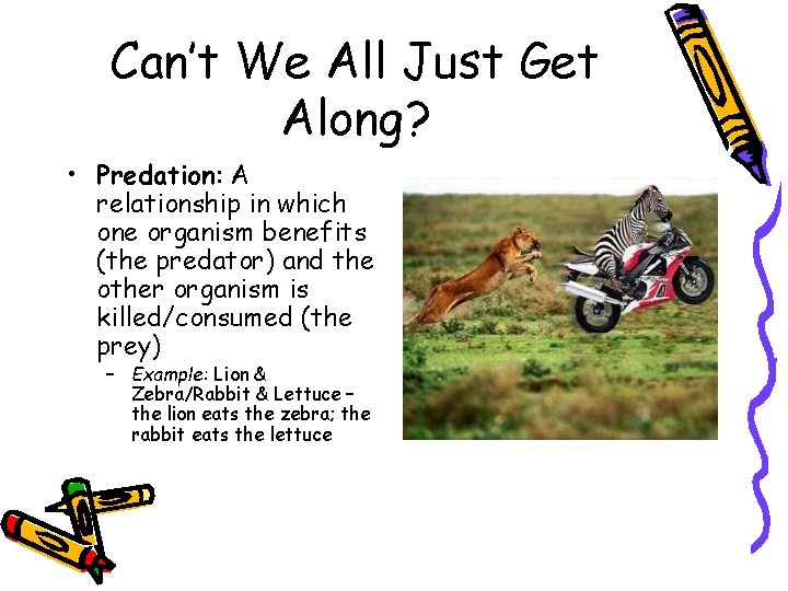 Can’t We All Just Get Along? • Predation: A relationship in which one organism