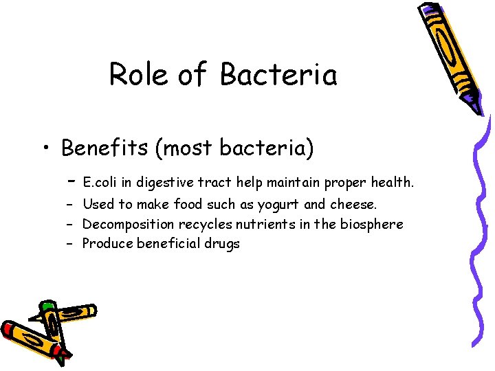 Role of Bacteria • Benefits (most bacteria) - E. coli in digestive tract help