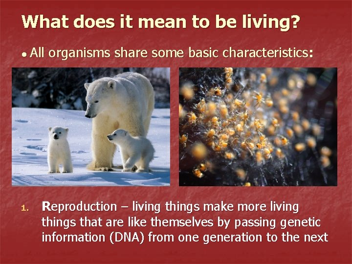 What does it mean to be living? ● All 1. organisms share some basic