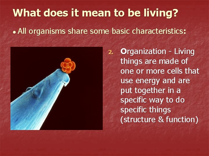 What does it mean to be living? ● All organisms share some basic characteristics: