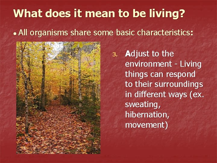 What does it mean to be living? ● All organisms share some basic characteristics: