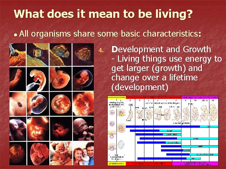 What does it mean to be living? ● All organisms share some basic characteristics: