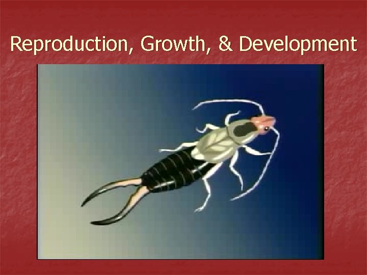 Reproduction, Growth, & Development 