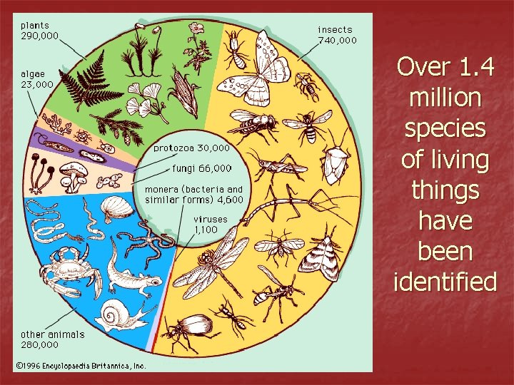 Over 1. 4 million species of living things have been identified 