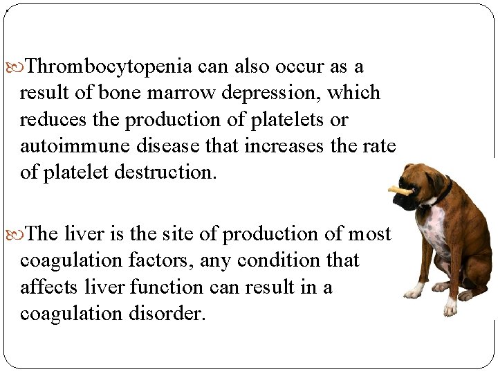 . Thrombocytopenia can also occur as a result of bone marrow depression, which reduces