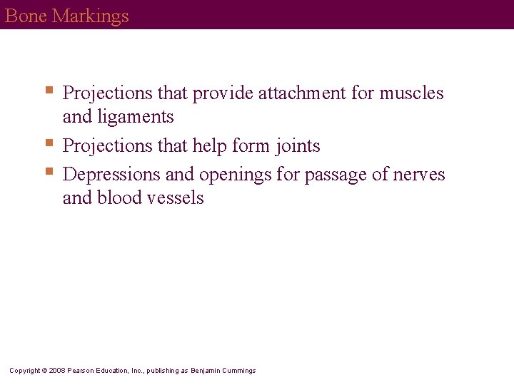 Bone Markings § § § Projections that provide attachment for muscles and ligaments Projections