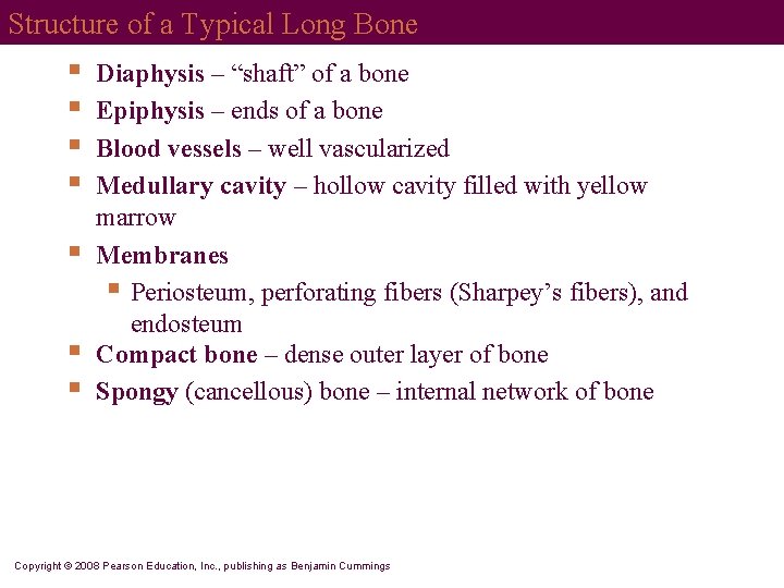 Structure of a Typical Long Bone § § § § Diaphysis – “shaft” of
