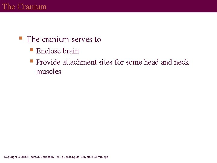 The Cranium § The cranium serves to § Enclose brain § Provide attachment sites
