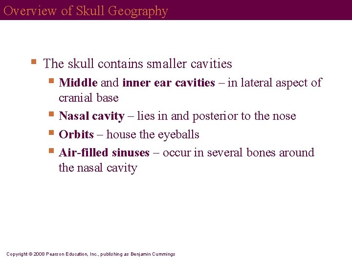 Overview of Skull Geography § The skull contains smaller cavities § Middle and inner