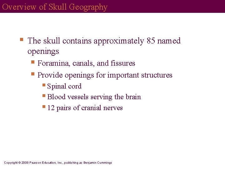 Overview of Skull Geography § The skull contains approximately 85 named openings § Foramina,