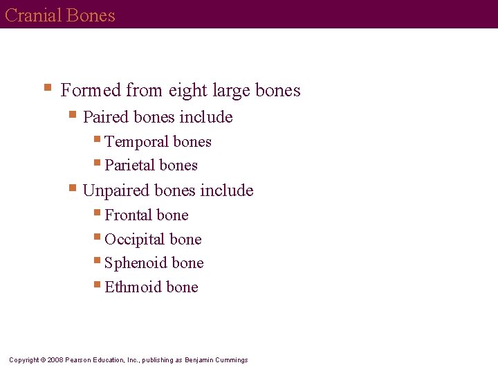 Cranial Bones § Formed from eight large bones § Paired bones include § Temporal